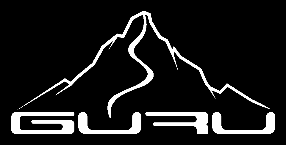 gurusnow.cl
